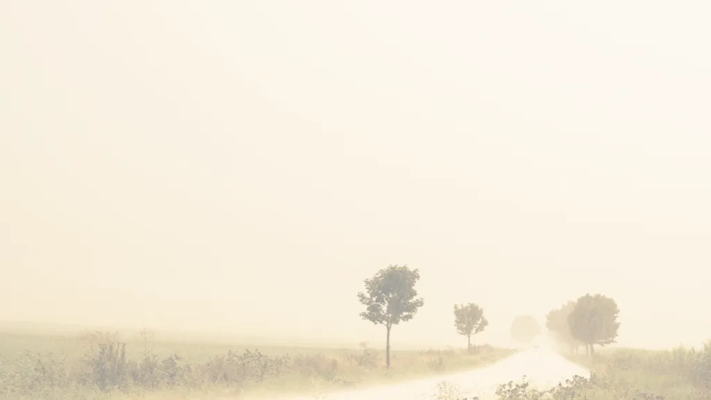 A road between trees suggests a peaceful environment for spiritual healing and personal transformation services.